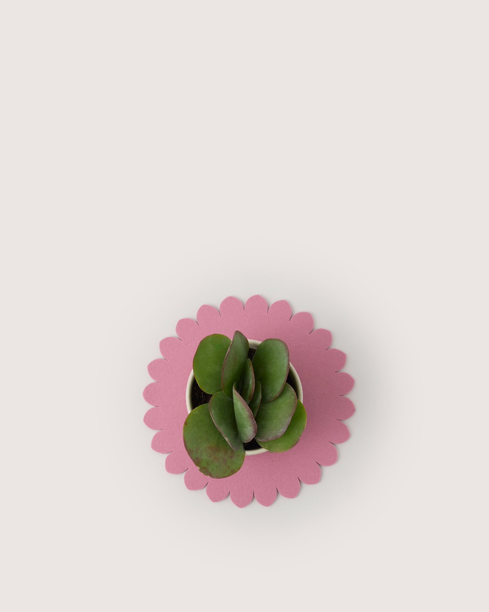 Crest Merino Wool 10" Trivet