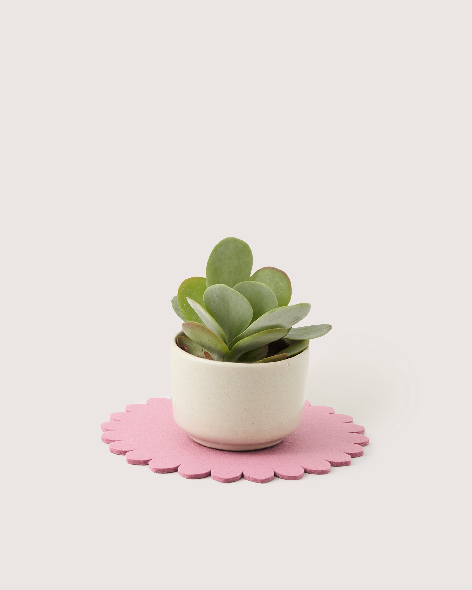 Crest Merino Wool 10" Trivet