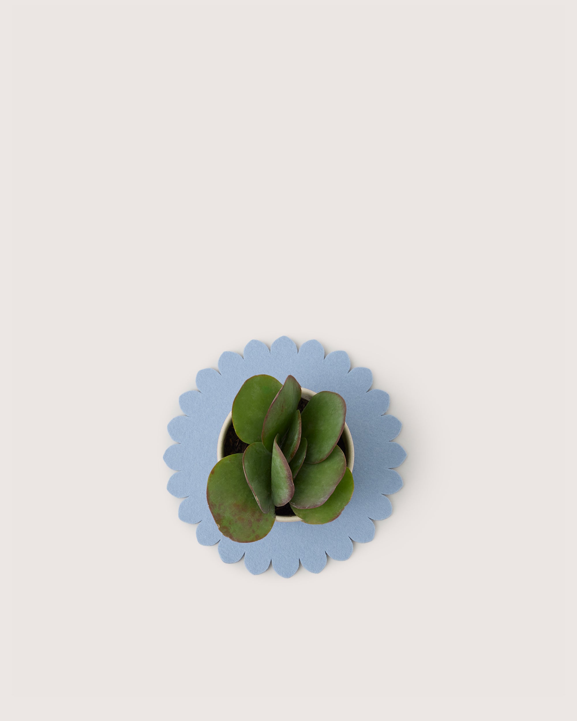 Crest Merino Wool 10" Trivet