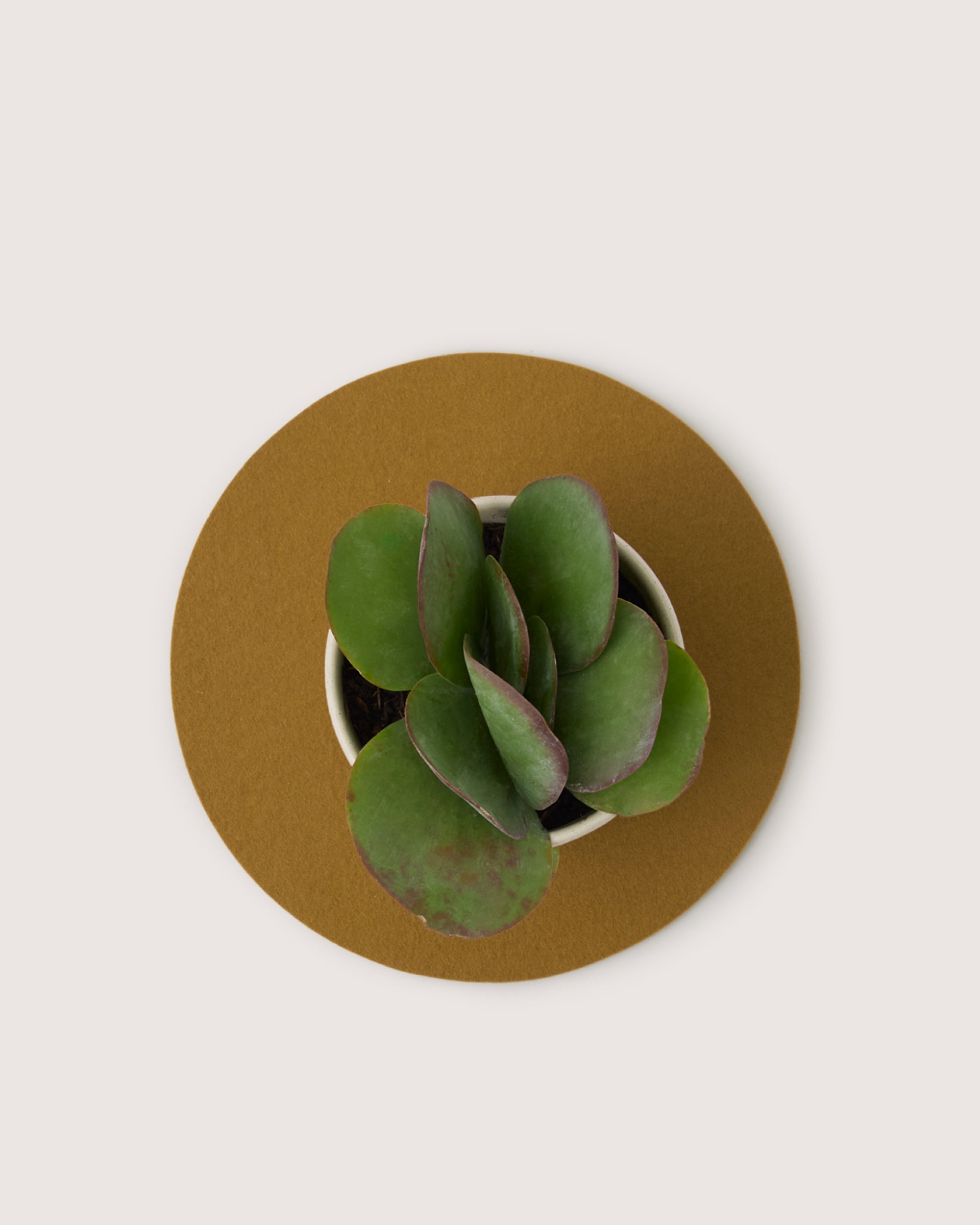 Merino Wool 10" Round Trivet