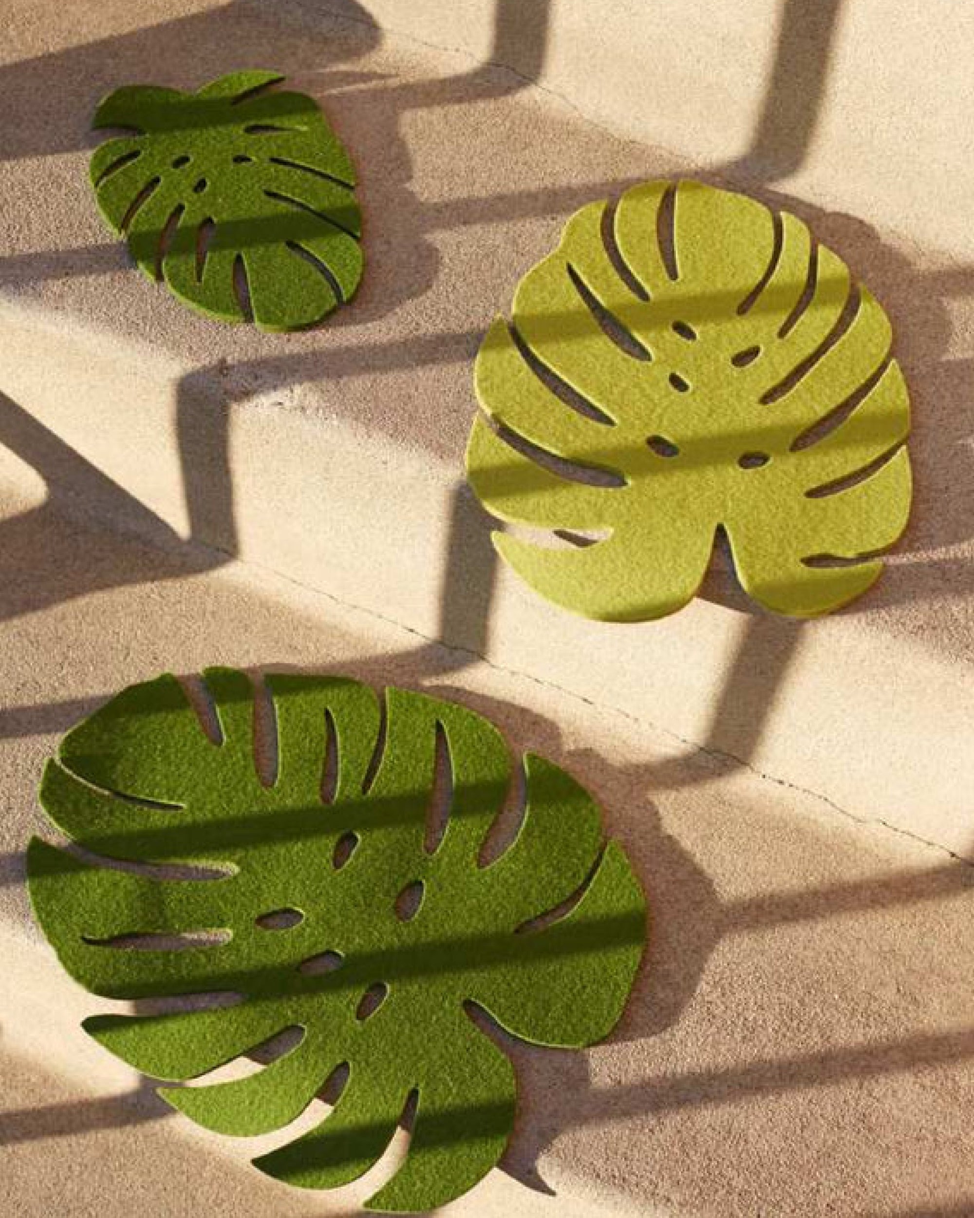 Merino Wool Medium Monstera Trivet