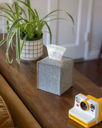A graf lantz grey Merino Wool Felt Tissue Box Cover, with tissues peeking out, sits on a wooden table next to a potted spider plant and a yellow-and-white instant camera. The inviting space features part of a couch and a white door, all Oeko-Tex® Certified.