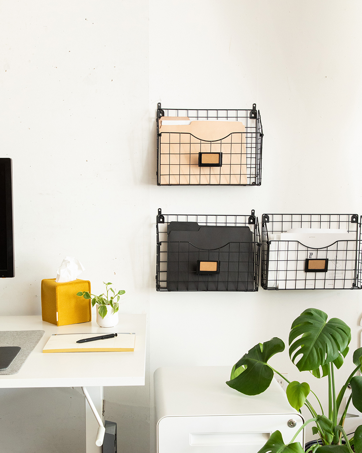 A sleek office setup includes a desk, a plant, and a tissue box on the left. Three white wall-mounted graf lantz leather file folders for letter-sized papers act as wire organizers. A white cabinet stands below, with a vibrant green monstera plant adding liveliness in the corner.