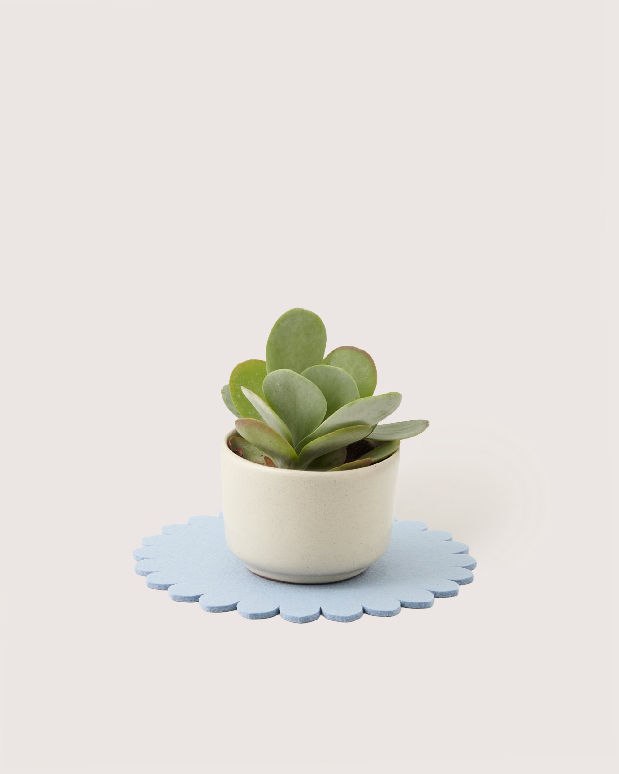 Crest Merino Wool 10" Trivet