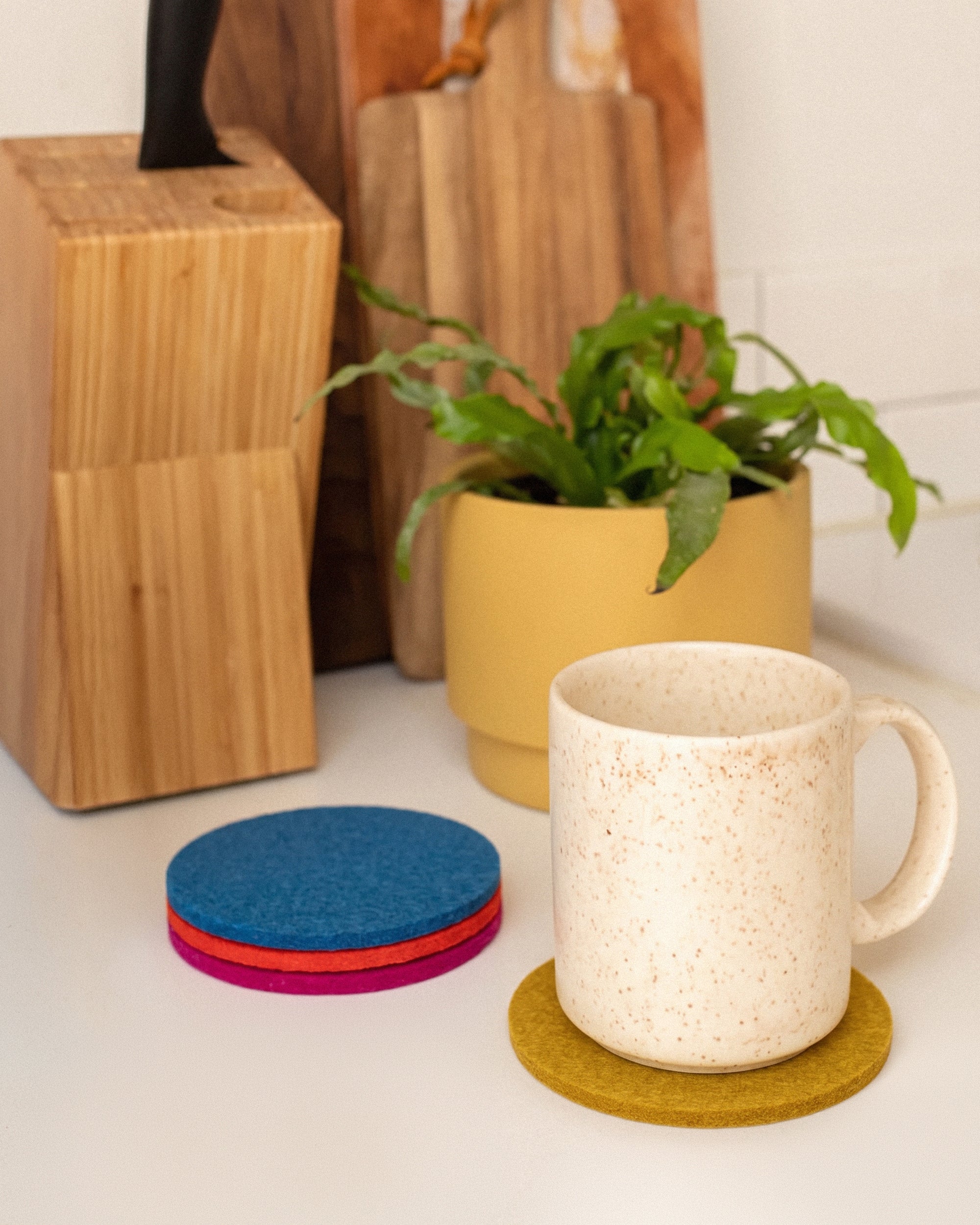 Bierfilzl Merino Wool Round Coaster Multi 4 Pack in Electric