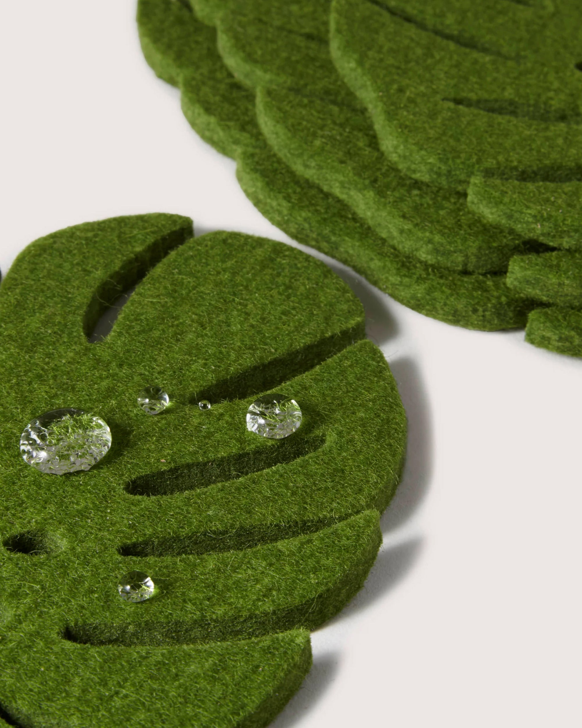 Merino Wool Monstera Coaster 4 Pack in Loden Green | Graf Lantz