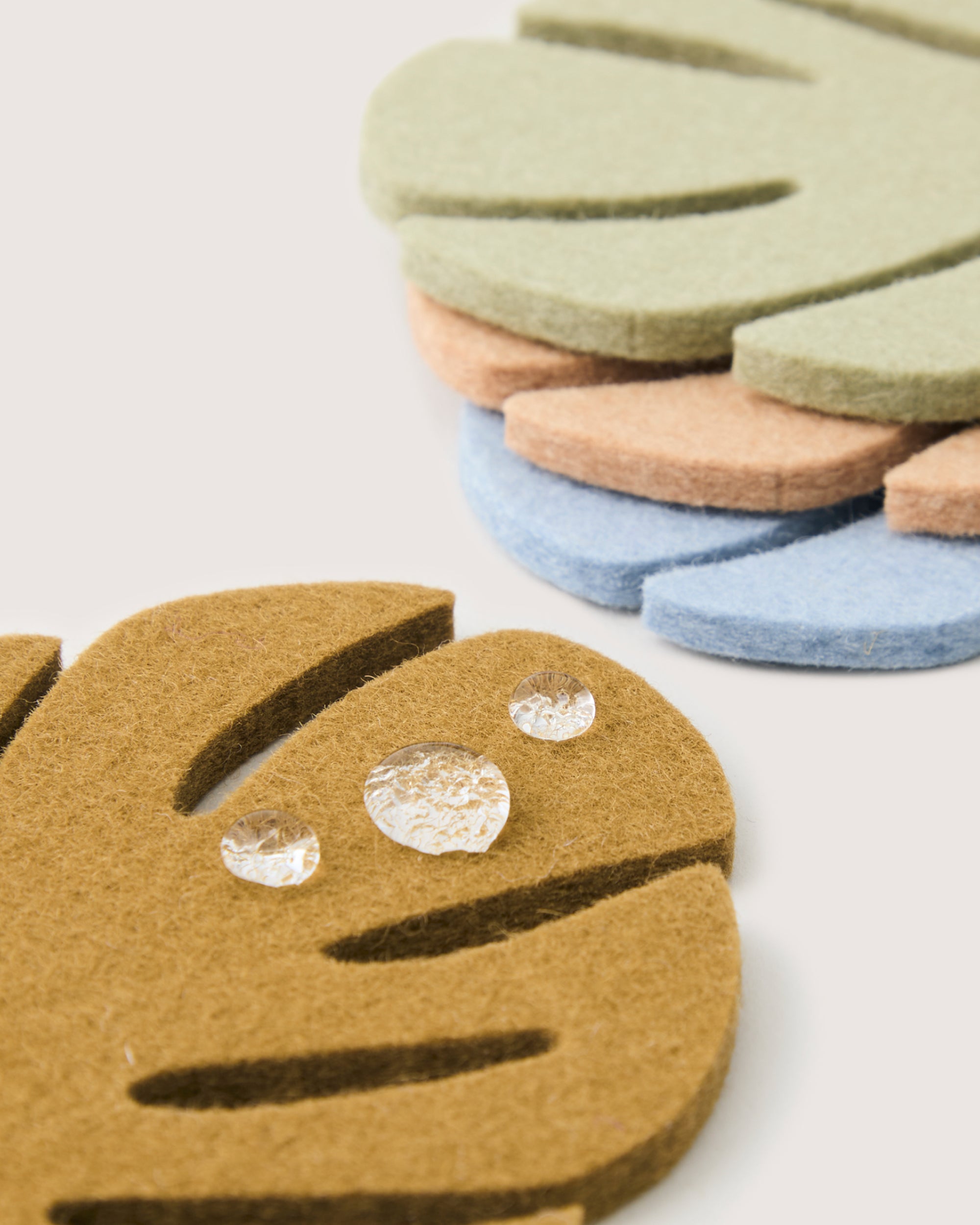 Merino Wool Monstera Coaster Multi 4 Pack