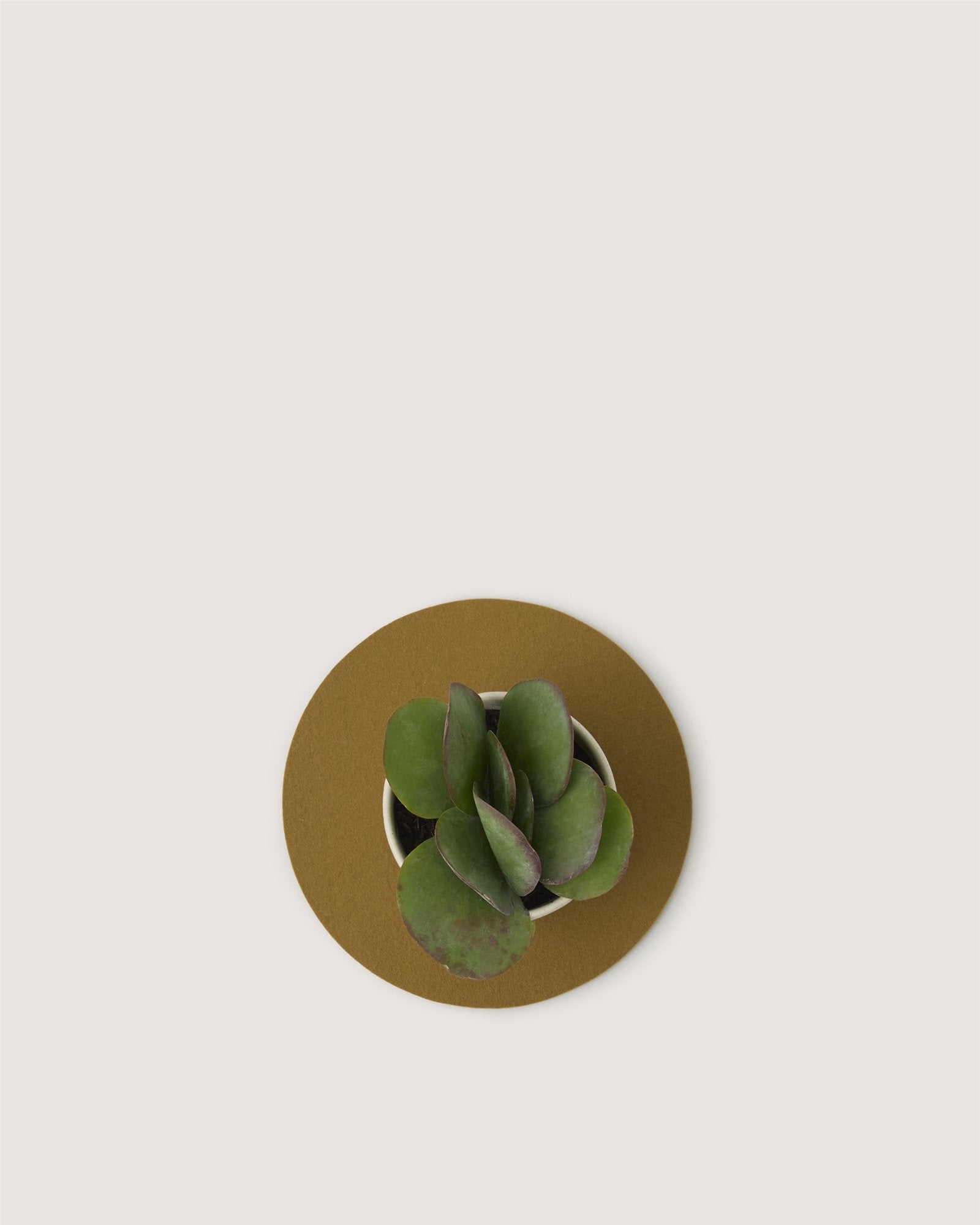 Merino Wool 10" Round Trivet (Brine)