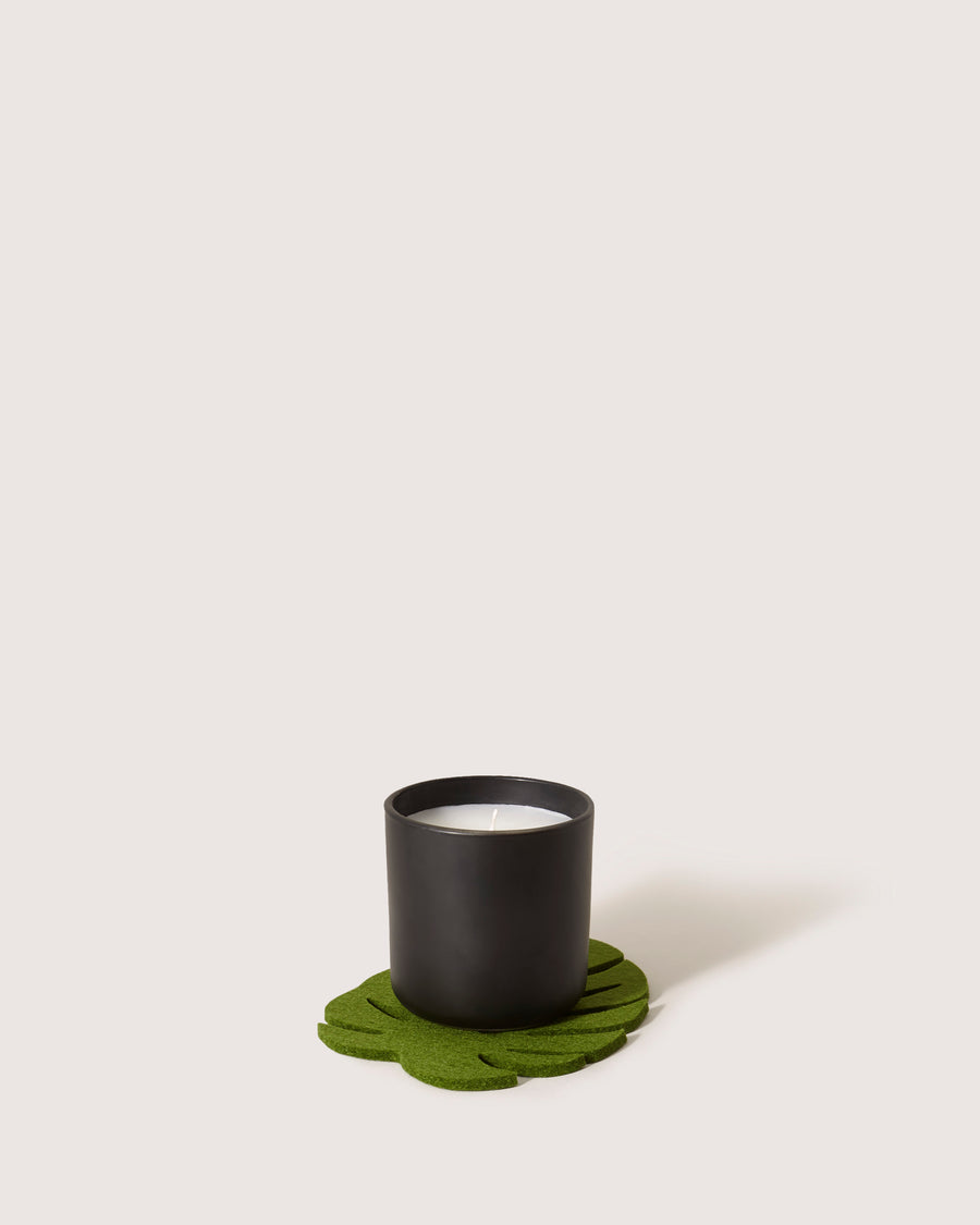 Merino Wool Small Monstera Trivet - Final Sale