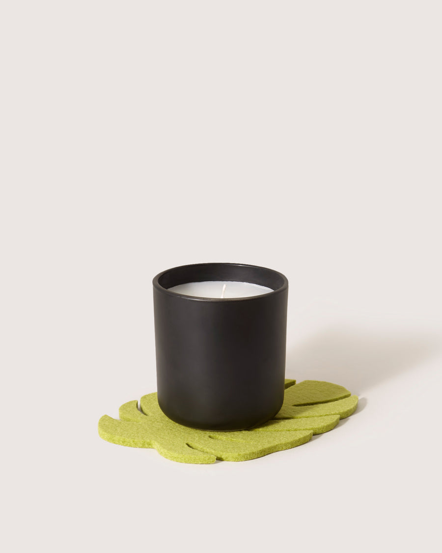 Merino Wool Small Monstera Trivet