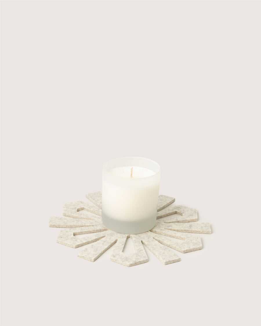 Merino Wool Snowflake Trivet