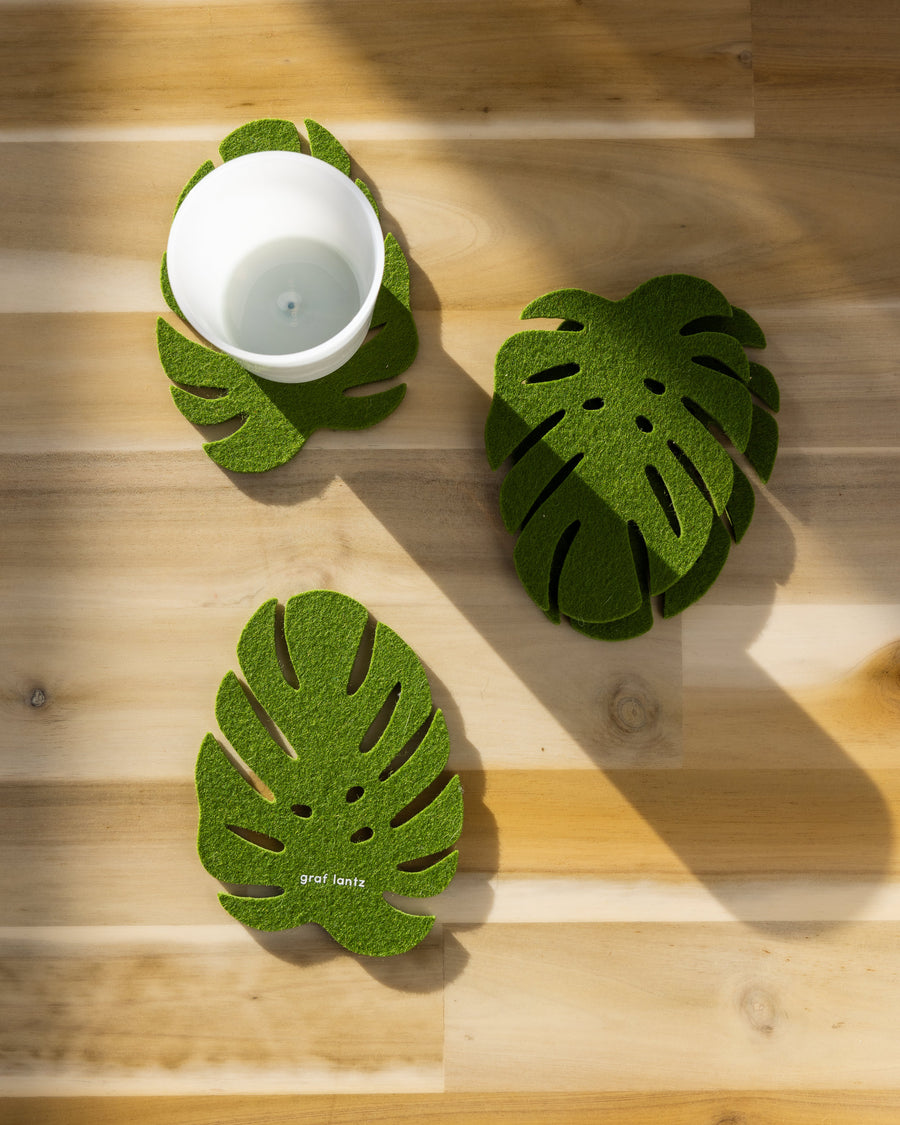 Extra surface protection with our Monstera Coasters, here in loden green color