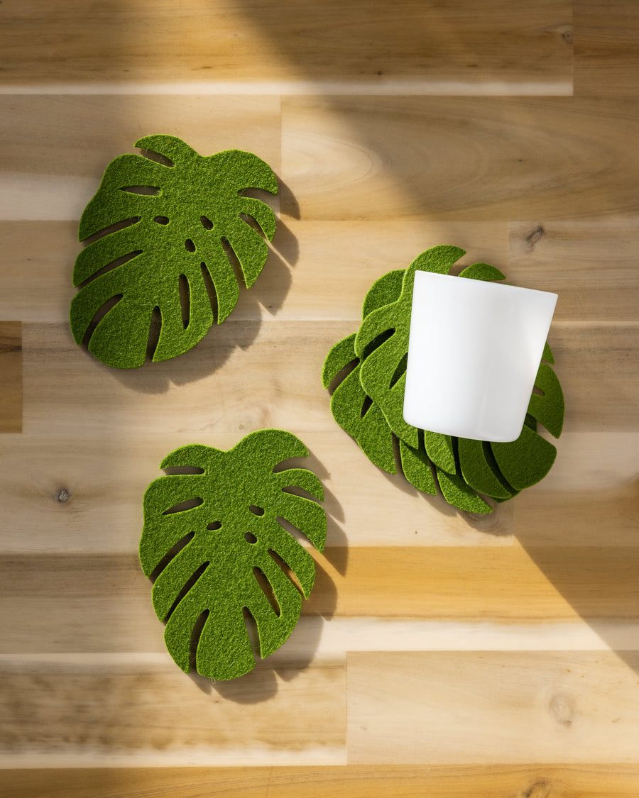 Extra surface protection with our Monstera Coasters, here in loden green color