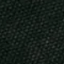 Black Canvas