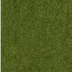 Loden Green